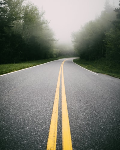 绿树之间的柏油路
